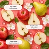 image:imageGinger Lily Farms Botanicals Conditioner 128oz4pk Island TranquilityApple Pear