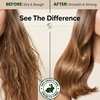 image:imageGinger Lily Farms Botanicals Conditioner 128oz4pk Island TranquilityAvocado Oil