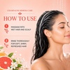 image:imageGinger Lily Farms Botanicals Conditioner 128oz4pk Island TranquilityChampagne Mimosa