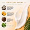 image:imageGinger Lily Farms Botanicals Conditioner 128oz4pk Island TranquilityCoco Mango
