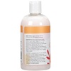 image:imageGinger Lily Farms Botanicals Conditioner 128oz4pk Island TranquilityCoco Mango