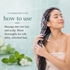 image:imageGinger Lily Farms Botanicals Conditioner 128oz4pk Island TranquilityCucumber Mint Bliss