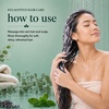 image:imageGinger Lily Farms Botanicals Conditioner 128oz4pk Island TranquilityEucalyptus Tranquility