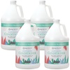 image:imageGinger Lily Farms Botanicals Conditioner 128oz4pk Island TranquilityEucalyptus Tranquility