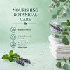 image:imageGinger Lily Farms Botanicals Conditioner 128oz4pk Island TranquilityEucalyptus Tranquility