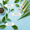 image:imageGinger Lily Farms Botanicals Conditioner 128oz4pk Island TranquilityIsland Tranquility