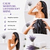 image:imageGinger Lily Farms Botanicals Conditioner 128oz4pk Island TranquilityLavender Chamomile