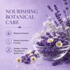 image:imageGinger Lily Farms Botanicals Conditioner 128oz4pk Island TranquilityLavender Chamomile