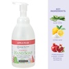 image:imageGinger Lily Farms Botanicals Foaming Hand Soap 20oz Coco MangoApple Pear