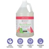 image:imageGinger Lily Farms Botanicals Foaming Hand Soap 20oz Coco MangoApple Pear