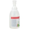 image:imageGinger Lily Farms Botanicals Foaming Hand Soap 20oz Coco MangoApple Pear
