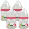 image:imageGinger Lily Farms Botanicals Foaming Hand Soap 20oz Coco MangoApple Pear