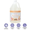 image:imageGinger Lily Farms Botanicals Foaming Hand Soap 20oz Coco MangoCoco Mango