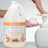 image:imageGinger Lily Farms Botanicals Foaming Hand Soap 20oz Coco MangoCoco Mango