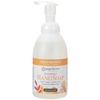 image:imageGinger Lily Farms Botanicals Foaming Hand Soap 20oz Coco MangoCoco Mango