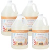 image:imageGinger Lily Farms Botanicals Foaming Hand Soap 20oz Coco MangoCoco Mango