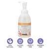 image:imageGinger Lily Farms Botanicals Foaming Hand Soap 20oz Coco MangoCoco Mango