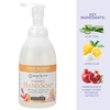 image:imageGinger Lily Farms Botanicals Foaming Hand Soap 20oz Coco MangoCoco Mango