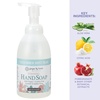 image:imageGinger Lily Farms Botanicals Foaming Hand Soap 20oz Coco MangoCucumber Mint Bliss
