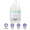 image:imageGinger Lily Farms Botanicals Foaming Hand Soap 20oz Coco MangoCucumber Mint Bliss