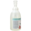 image:imageGinger Lily Farms Botanicals Foaming Hand Soap 20oz Coco MangoCucumber Mint Bliss