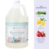 image:imageGinger Lily Farms Botanicals Foaming Hand Soap 20oz Coco MangoCucumber Mint Bliss