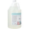 image:imageGinger Lily Farms Botanicals Foaming Hand Soap 20oz Coco MangoCucumber Mint Bliss