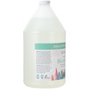 image:imageGinger Lily Farms Botanicals Foaming Hand Soap 20oz Coco MangoEucalyptus Tranquility
