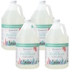 image:imageGinger Lily Farms Botanicals Foaming Hand Soap 20oz Coco MangoEucalyptus Tranquility