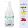 image:imageGinger Lily Farms Botanicals Foaming Hand Soap 20oz Coco MangoEucalyptus Tranquility