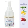 image:imageGinger Lily Farms Botanicals Foaming Hand Soap 20oz Coco MangoFragrance Free