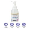 image:imageGinger Lily Farms Botanicals Foaming Hand Soap 20oz Coco MangoFragrance Free