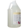 image:imageGinger Lily Farms Botanicals Foaming Hand Soap 20oz Coco MangoFragrance Free