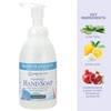 image:imageGinger Lily Farms Botanicals Foaming Hand Soap 20oz Coco MangoIsland Tranquility