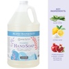 image:imageGinger Lily Farms Botanicals Foaming Hand Soap 20oz Coco MangoIsland Tranquility
