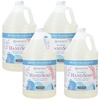 image:imageGinger Lily Farms Botanicals Foaming Hand Soap 20oz Coco MangoIsland Tranquility