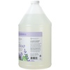 image:imageGinger Lily Farms Botanicals Foaming Hand Soap 20oz Coco MangoLavender Chamomile