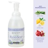 image:imageGinger Lily Farms Botanicals Foaming Hand Soap 20oz Coco MangoLavender Chamomile
