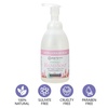 image:imageGinger Lily Farms Botanicals Foaming Hand Soap 20oz Coco MangoVanilla Sugar Bliss