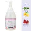 image:imageGinger Lily Farms Botanicals Foaming Hand Soap 20oz Coco MangoVanilla Sugar Bliss
