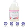 image:imageGinger Lily Farms Botanicals Foaming Hand Soap 20oz Coco MangoVanilla Sugar Bliss