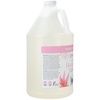 image:imageGinger Lily Farms Botanicals Foaming Hand Soap 20oz Coco MangoVanilla Sugar Bliss