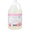 image:imageGinger Lily Farms Botanicals Foaming Hand Soap 20oz Coco MangoVanilla Sugar Bliss