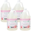 image:imageGinger Lily Farms Botanicals Foaming Hand Soap 20oz Coco MangoVanilla Sugar Bliss