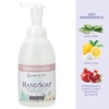 image:imageGinger Lily Farms Botanicals Foaming Hand Soap 20oz Coco MangoWhispering Rose