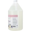 image:imageGinger Lily Farms Botanicals Foaming Hand Soap 20oz Coco MangoWhispering Rose