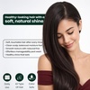 image:imageGinger Lily Farms Botanicals Shampoo 128oz Island TranquilityAvocado Oil