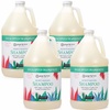 image:imageGinger Lily Farms Botanicals Shampoo 128oz Island TranquilityEucalyptus Tranquility