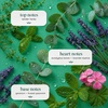 image:imageGinger Lily Farms Botanicals Shampoo 128oz Island TranquilityEucalyptus Tranquility