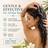 image:imageGinger Lily Farms Botanicals Shampoo 128oz Island TranquilityIsland Tranquility